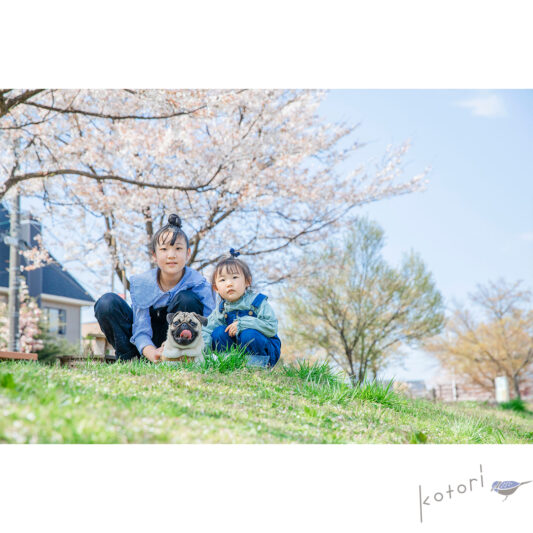 3月も、もう終わりですね…(桜イベント撮影)